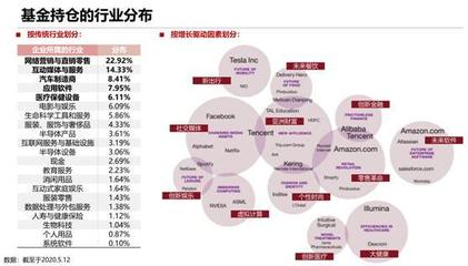 砸崩特斯拉的BG究竟什么來頭？軟件外包服務全景解析